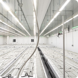 Inside of indoor marijuana farm